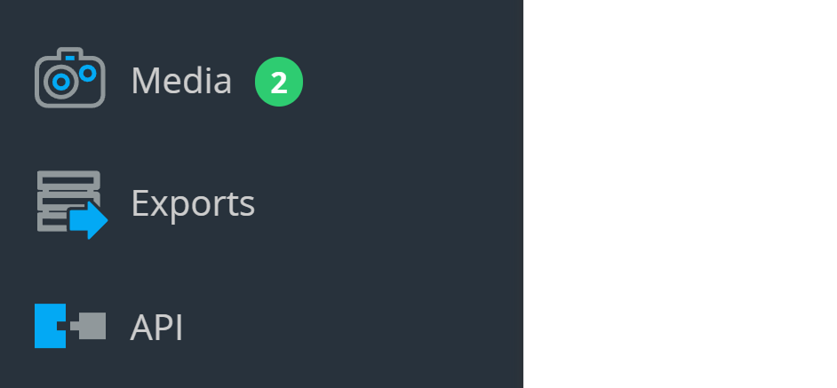 Screenshot of Main Navigation Menu with hidden button "Import" 