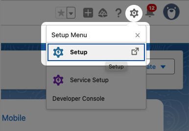 Screenshot: menu settings highlighted settings and Setup