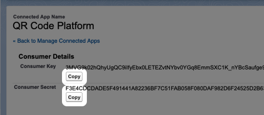 Screenshot: Highlighted Copy button