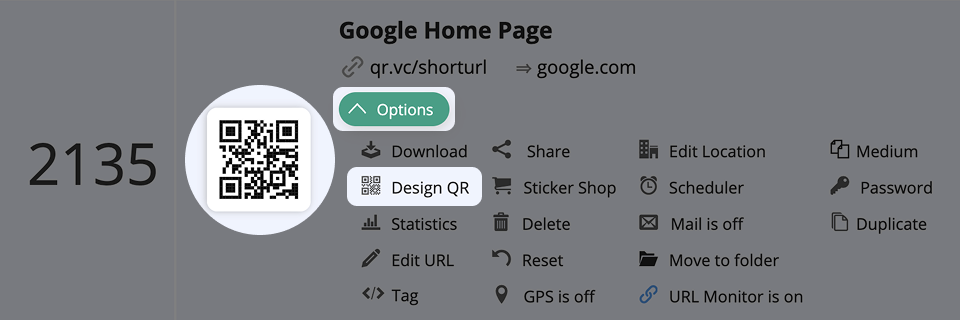 Screenshot of QR Code options 