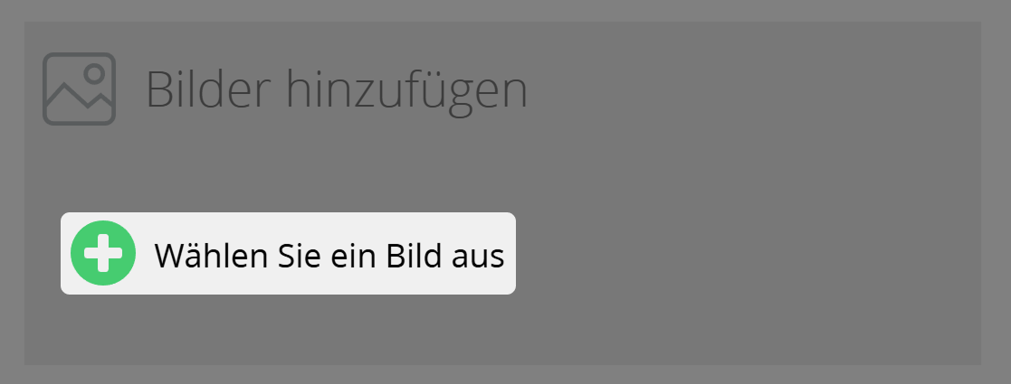 Hervorgehobene Schaltfläche "Bild auswählen" im Landing Page Editor.